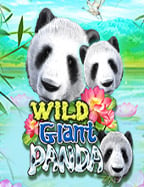 วิธี การ เล่น ยิง ปลา ที่คุณควรรู้ก่อนลงมือจริง!